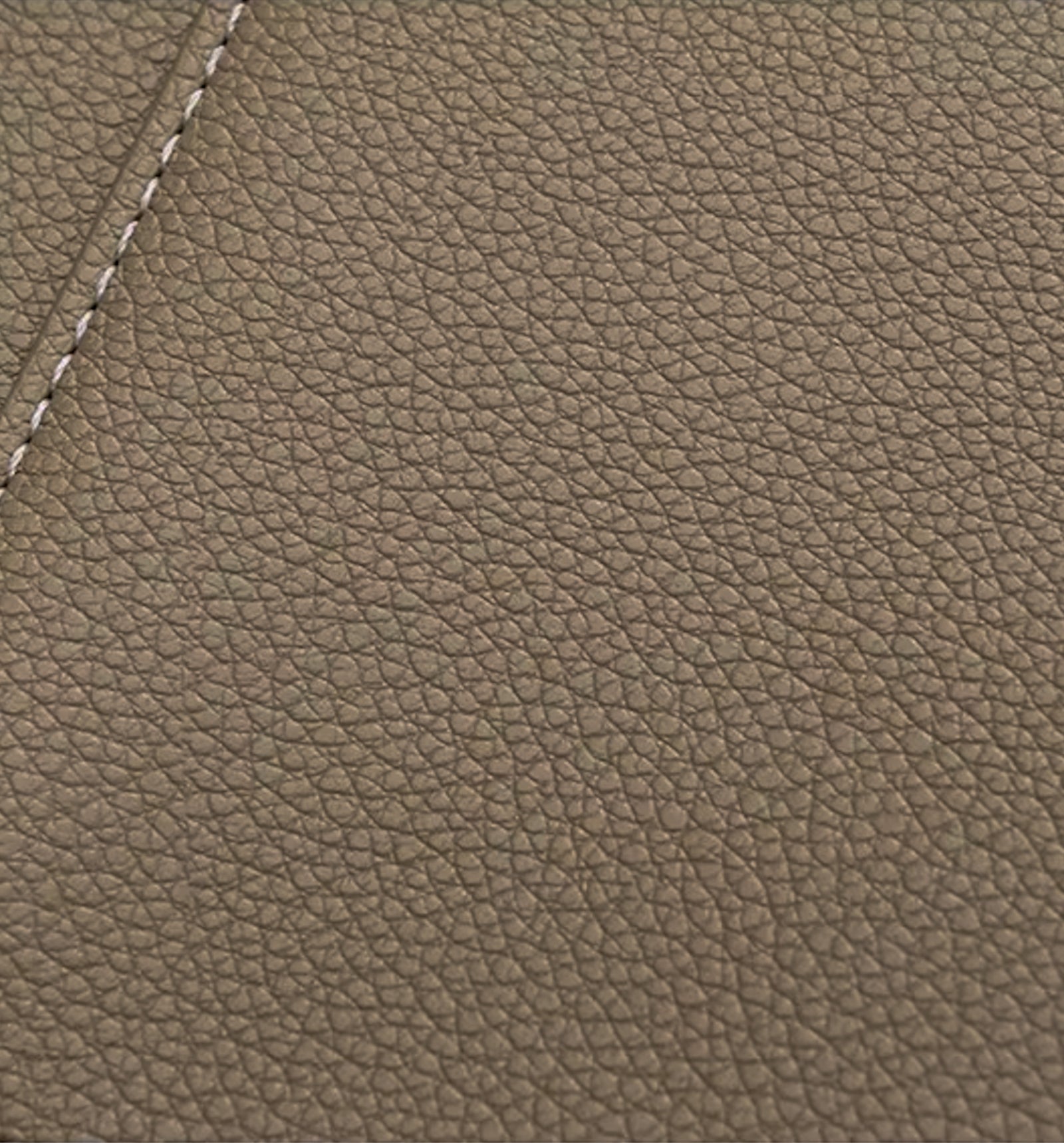 The Paris Shoulder